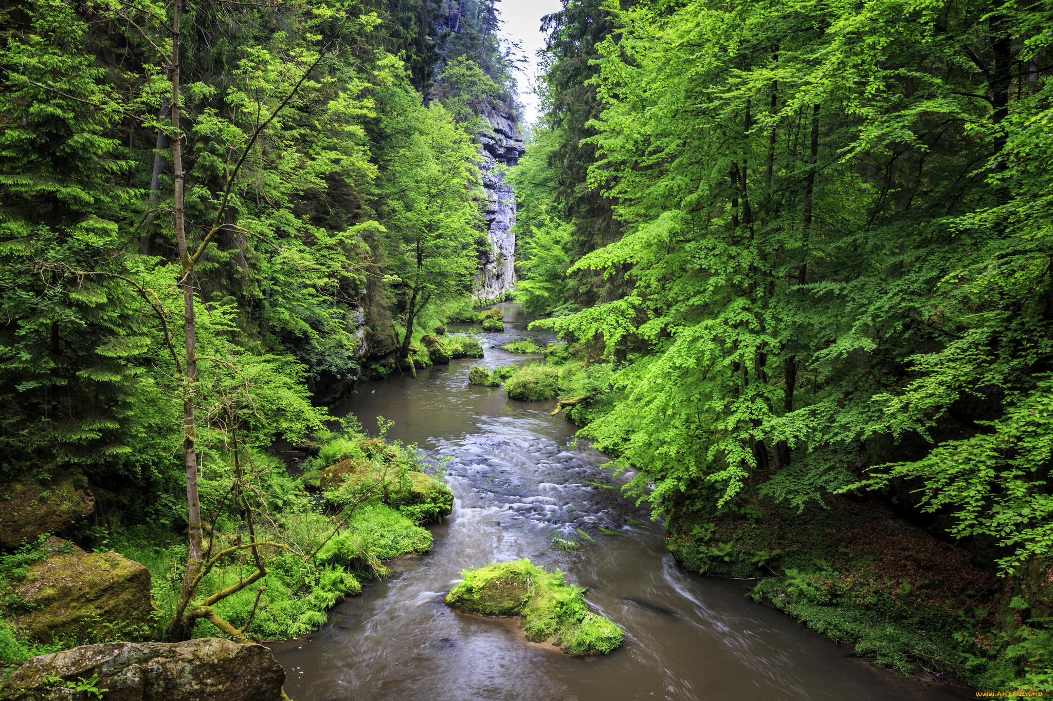 Чехия природа реки